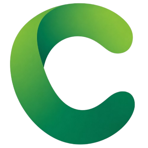ctoursvn.com